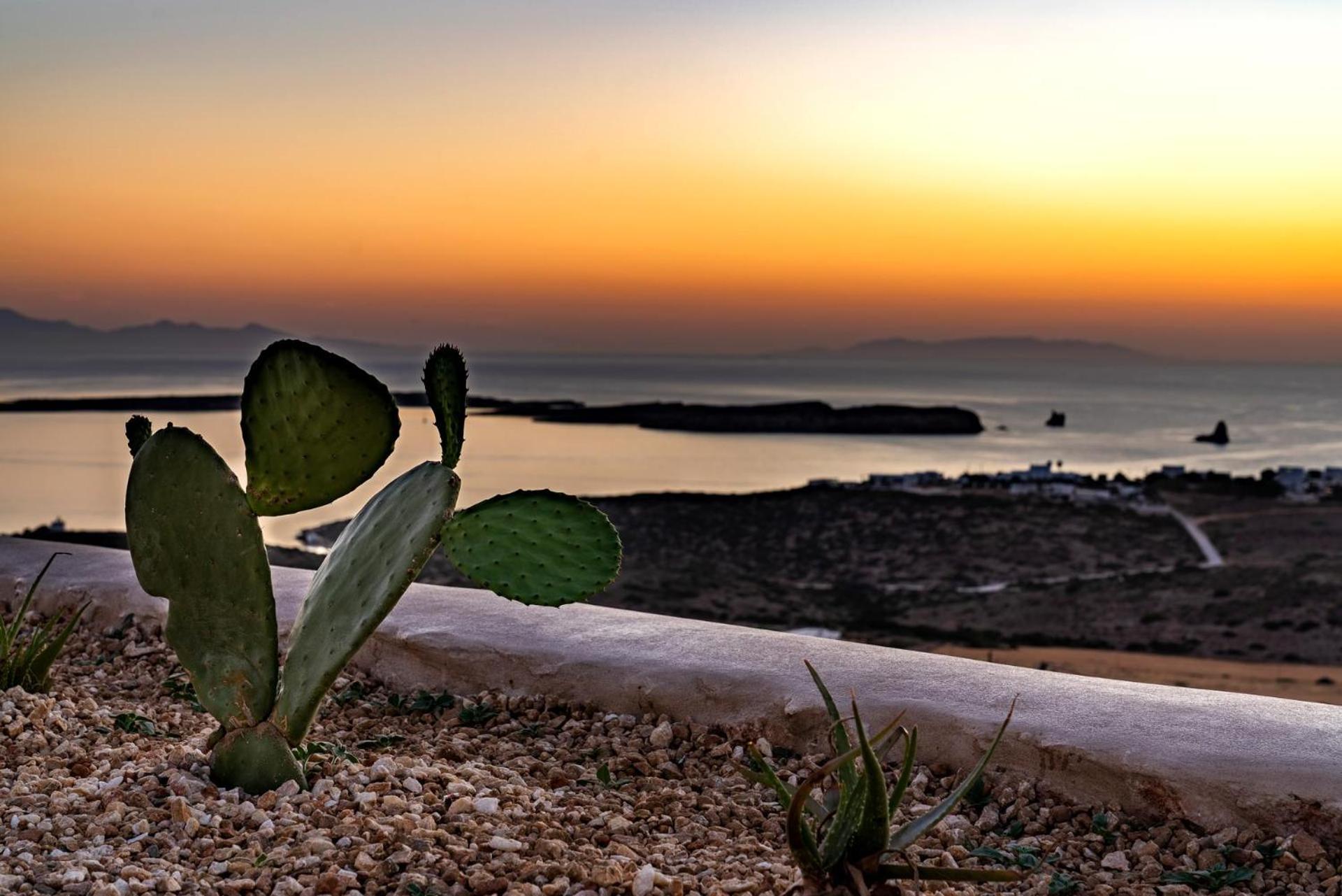 Hotel Mythic Paros , Adults Only Agia Irini  Zimmer foto